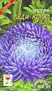 Астра Леди Корал Синяя розовидная 0.1г Одн 70см (Цвет сад)