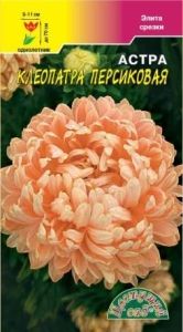 Астра Клеопатра Персиковая пионовидная 0.2г Одн 70см (Цвет сад)