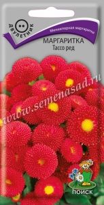 Маргаритка Тассо ред 20шт Дв 12см (Поиск)