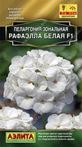 Пеларгония Рафаэлла Белая F1 зональная 5шт Одн 30см (Аэлита)