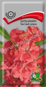Бальзамин Том Самб Салмон 0,1г Одн 45см (Поиск)