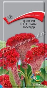 Целозия Тореадор гребенчатая 0,1г Одн 60см (Поиск)