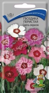Гвоздика Смесь окрасок перистая 0,3г Мн 35см (Поиск)