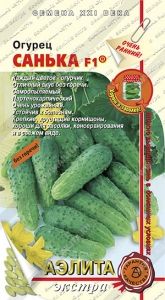 Огурец Санька 0.25г Парт Ранн (Аэлита-экстра)