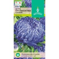 Астра Королевский пион Голубой пионовидная 0,3г Одн 80см (Евро-сем)