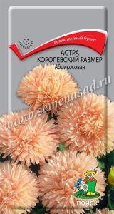 Астра Королевский размер Абрикосовая пионовидная 0,1г Одн 100см (Поиск)