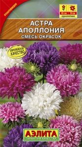 Астра Аполлония хризантемовидная Одн смесь 65см (Аэлита)