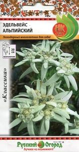 Эдельвейс Альпийский 0,03г Мн 20см (НК)