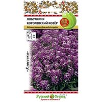 Лобулярия Королевский Ковер 0,08г Одн 20см (НК)
