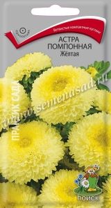 Астра Желтая помпонная 0,3г Одн 55см (Поиск)