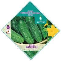 Огурец Малюта F1 0,3г Парт Ранн (Евро-сем) Необычная упаковка
