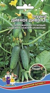 Огурец Дивное Диво F1 12шт Парт Ранн (УД)