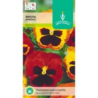 Виола (Анютины глазки) Ириска 0,05г Дв смесь 15см (Евро-сем)