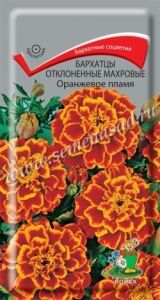 Бархатцы (Тагетес) откл. Оранжевое пламя 0,4г 30см (Поиск)