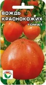 Томат Вождь краснокожих 20шт Дет Ранн (Сиб сад)