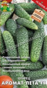 Огурец Аромат лета F1 12шт Парт Ранн (Поиск)