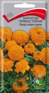 Бархатцы (Тагетес) пр. Купид голден орандж 0,2г 35см (Поиск)