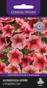 Калибрахоа Крейв Стробери Стар 5шт Одн 35см (Поиск) Семена Профи
