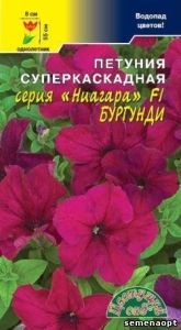 Петуния Ниагара Бургунди F1 суперкаскадная крупноцветковая 10шт Одн 55см (Цвет сад)