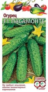 Огурец Пасамонте F1 корнишон 0,3г Парт Ранн (Гавриш)