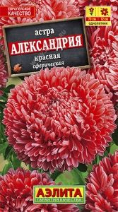 Астра Александрия красная сферическая махровая 0.1г Одн 70см (Аэлита)