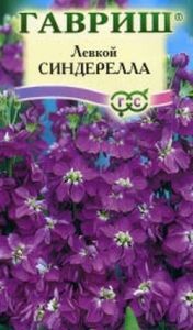 Левкой Синдерелла F1 10шт Одн 20см (Гавриш)