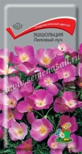 Эшшольция Лиловый луч 0,2г Одн 40см (Поиск)