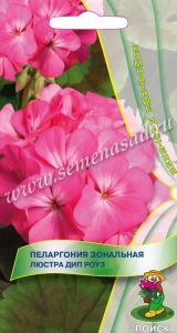 Пеларгония Люстра Дип Роуз зональная 5шт Комн 35см (Поиск)