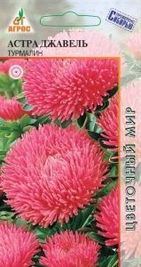 Астра Джавель Турмалин игольчато-коготковая 20шт Одн 70см (Агрос)