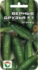 Огурец Верные друзья F1 корнишон 7шт Пч Ранн (Сиб сад)