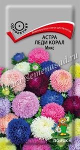 Астра Леди Корал Микс розовидная 0,1г Одн смесь 70см (Поиск)