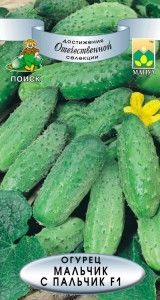 Огурец Мальчик с пальчик F1 12шт Парт Ранн (Поиск)