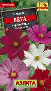 Космея Вега карликовая 0.3г Одн смесь 60см (Аэлита)