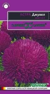 Астра Джувел Аметист игольчато-коготковая 0,1г Одн 75см (Гавриш) Эксклюзив