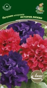 Петуния История любви махровая 10шт Одн 35см (Поиск) Люкс