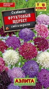 Скабиоза Фруктовый щербет махровая Одн смесь 60см (Аэлита)