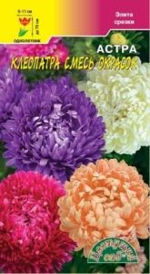 Астра Клеопатра пионовидная Одн смесь 70см (Цвет сад)