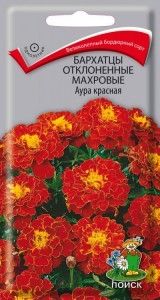 Бархатцы (Тагетес) откл. Аура Красная 0,4г 40см (Поиск)