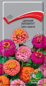 Цинния Смесь окрасок лилипут 0,4г Одн 45см (Поиск)