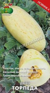 Дыня Торпеда 15шт Ср (Поиск) автор