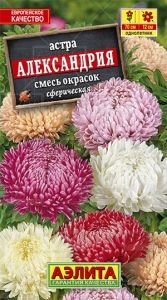 Астра Александрия сферическая 0.2г Одн смесь 70см (Аэлита)