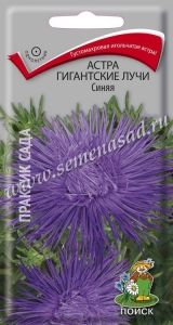 Астра Гигантские лучи Синяя игольчатая махровая 0,3г Одн 60см (Поиск)