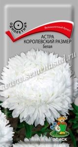 Астра Королевский размер Белая пионовидная 0,1г Одн 100см (Поиск)