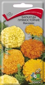 Бархатцы (Тагетес) пр. Максимикс 0,3г 35см (Поиск)