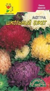 Астра Школьный букет пионовидная Одн смесь 70см (Цвет сад)
