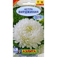 Астра Вирджиния низкорослая 0.2г Одн 30см (Аэлита)