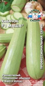 Кабачок Маша F1 2г Ранн (Седек)