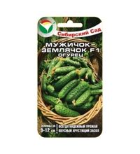 Огурец Мужичок-землячок F1 7шт Пч Ср (Сиб Сад)