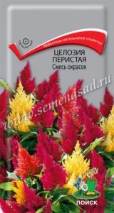 Целозия Смесь окрасок перистая 0,1г Одн 70см (Поиск)