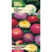 Астра Помпон помпонная 0,3г Одн смесь 75см (Евро-сем)